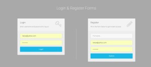 User Login and Registration Form