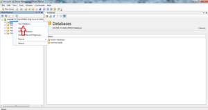 How to Create a Database in the SQL Server 2005 in VB.net