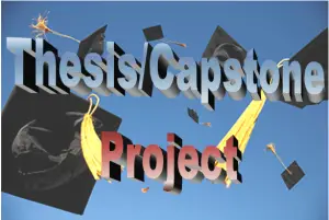 Thesis/Capstone Project