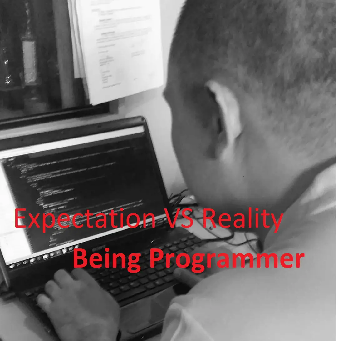 Expectation Versus Reality Being Programmer