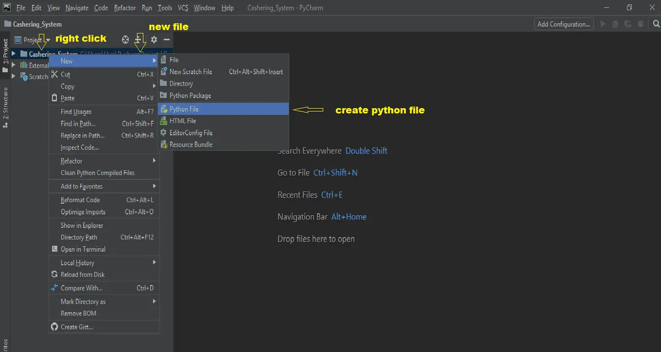 create python file in point of sale system in python