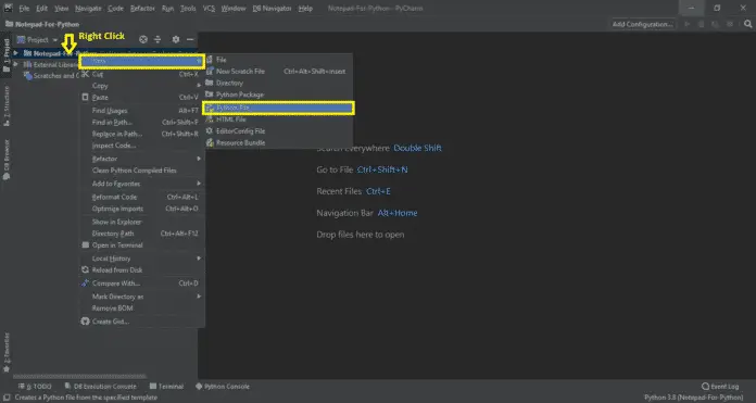 Notepad for Python with Source Code - Video - 2022