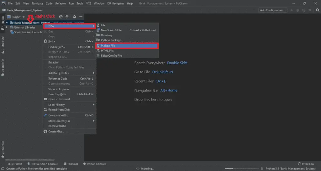 Bank Management System Project in Python With Source Code