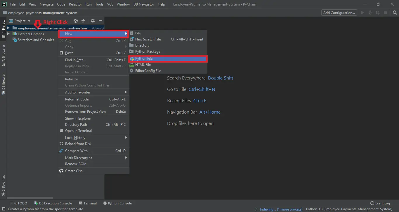 Creating python File name in Employee Payment Management System
