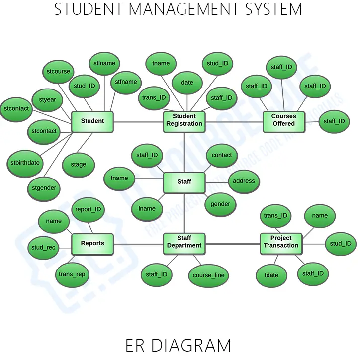 Student Management System ER (Entity Relationship) Diagram 