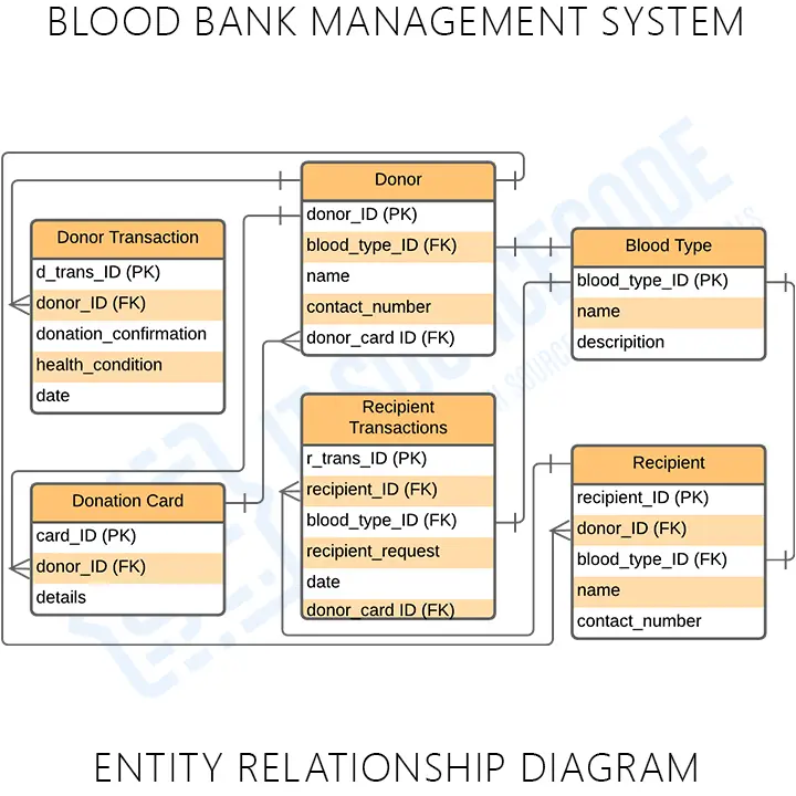 Er Diagram For Online Blood Bank Management System Ermodelexample Com My XXX Hot Girl