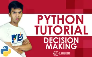 Decision-Making Statements in Python with Examples