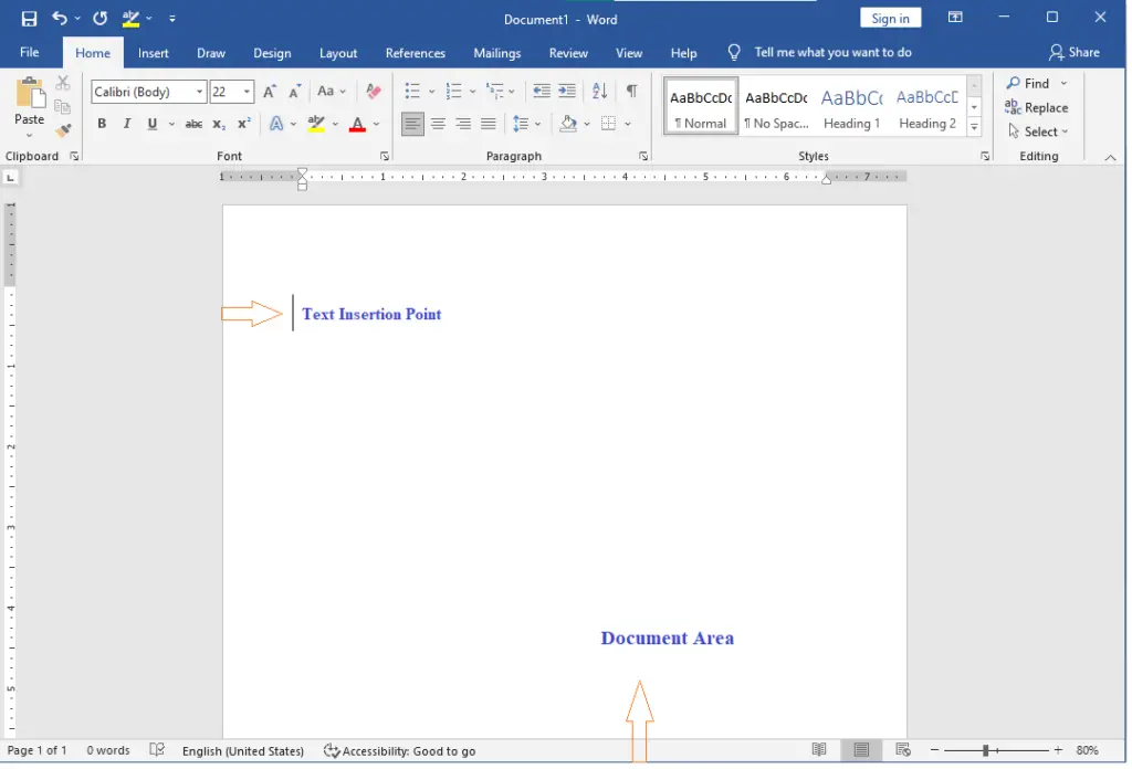 INSERTION POINT AND TEXT AREA