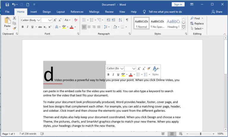 How to Insert Text in MS Word - Insert Text in MS Word