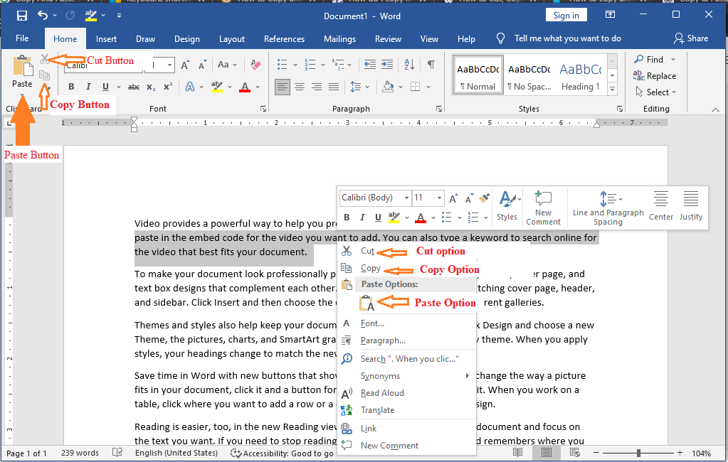 Copy and Paste Option in Word