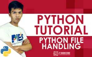 File Handling Functions in Python with Examples
