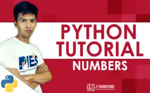 Python Numbers Types with Examples