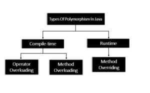 What is Polymorphism in Java With Examples - Itsourcecode.com
