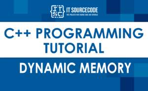 C++ Dynamic Memory Tutorial with Program Example