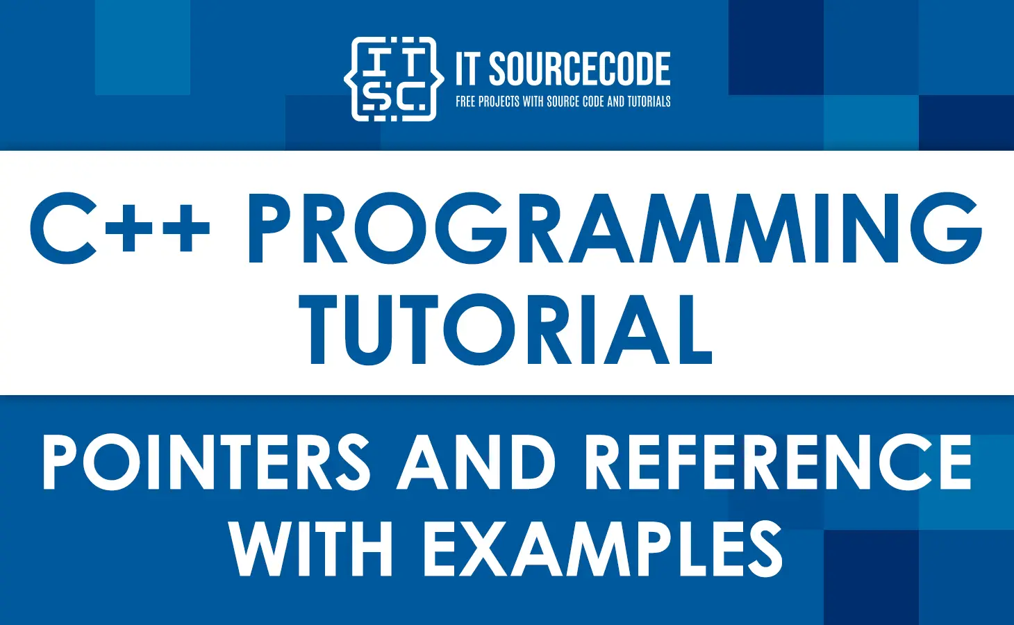 C++ Pointers and References with Examples