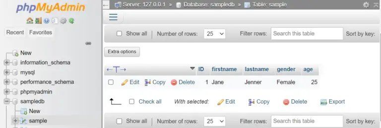 PHP MySQL Insert and Return ID - Itsourcecode.com