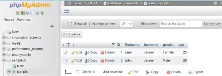 PHP MySQL Insert and Return ID - Itsourcecode.com