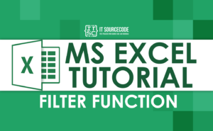 FILTER FUNCTION IN EXCEL