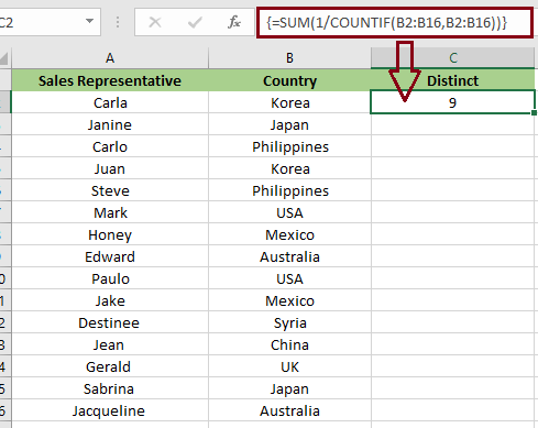 Distinct Count in Excel using the Function 