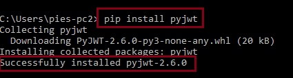 Install the 'PyJWT' module.