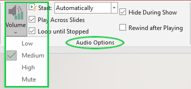 Audio Options Group
