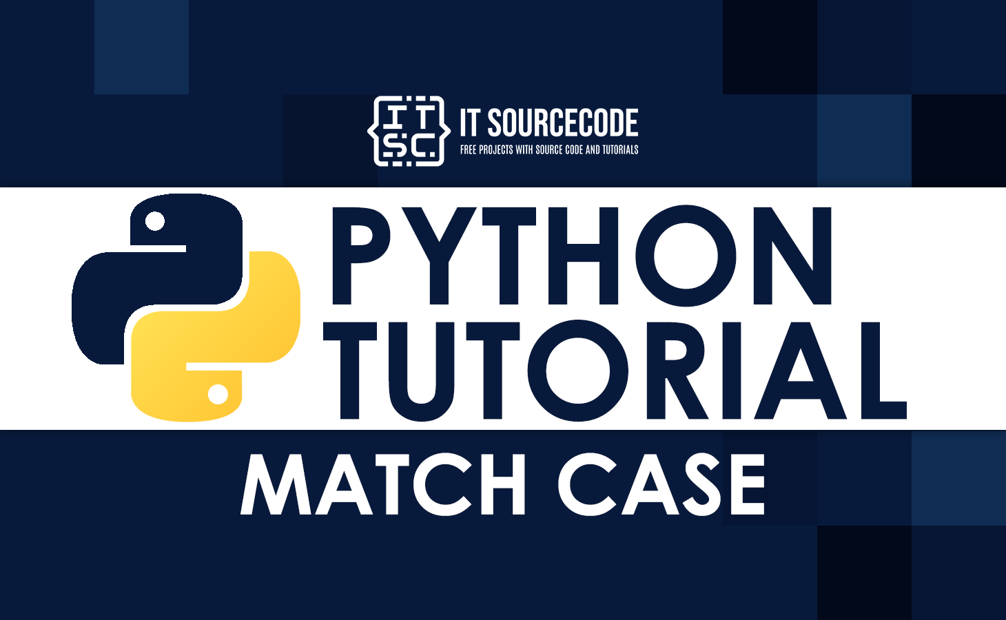 Python Match Case With Code Example