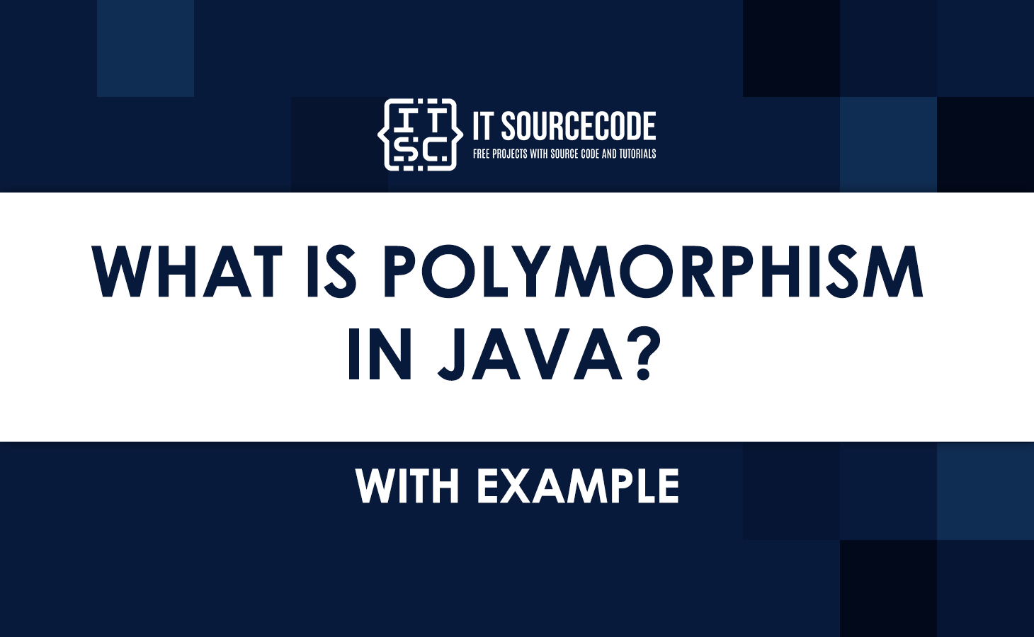 What is Polymorphism in Java With Examples