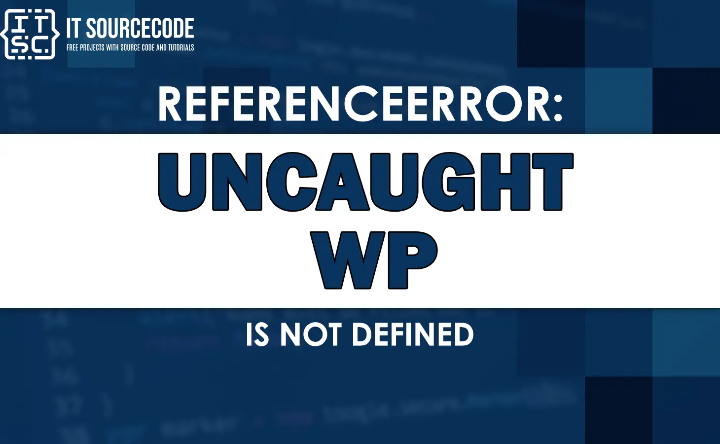 uncaught referenceerrorwp is not defined